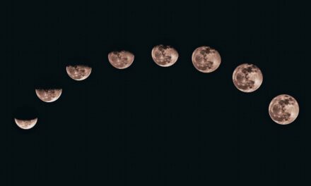 Jardiner avec la lune en 2022 : le meilleur calendrier lunaire en ligne